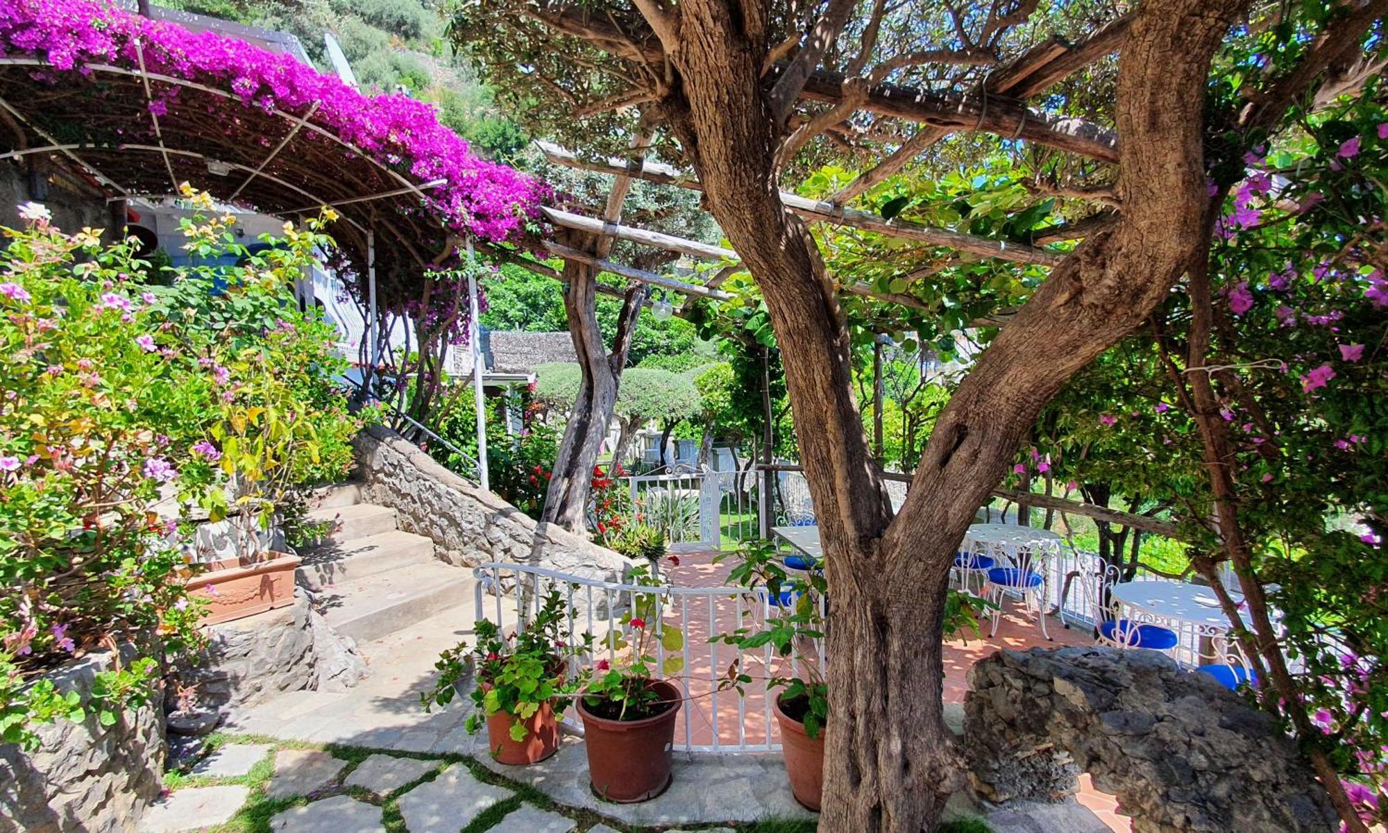 Bed and Breakfast La Maliosa Positano Exterior foto